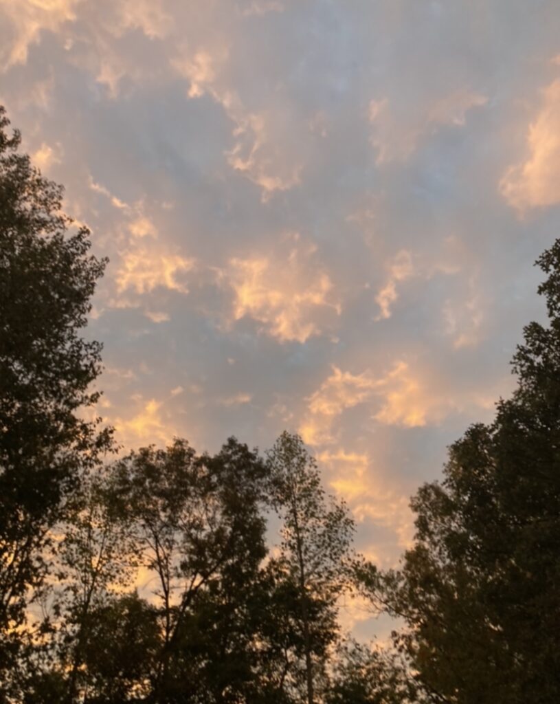 I took a picture of pink clouds